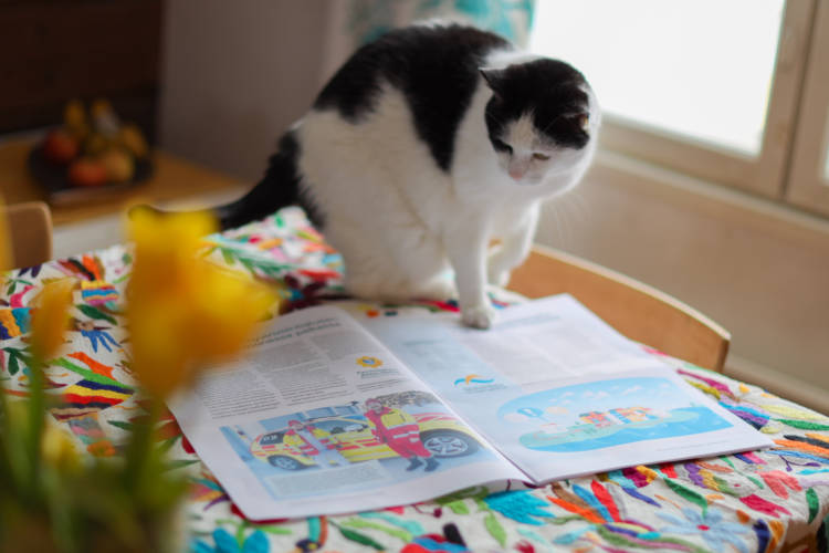 Pöydällä asukaslehti ja kissa aivan kuin lukemassa lehteä.