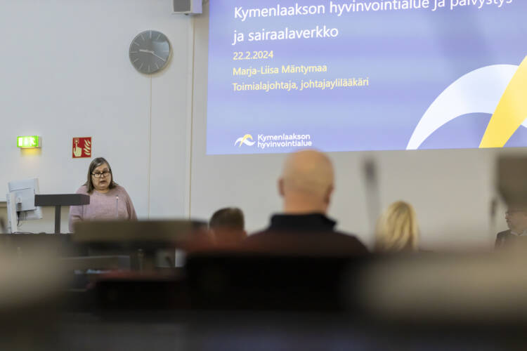 Johtajaylilääkäri Marja-Liisa Mäntymaa puhui Pyöreän pöydän tilaisuudessa